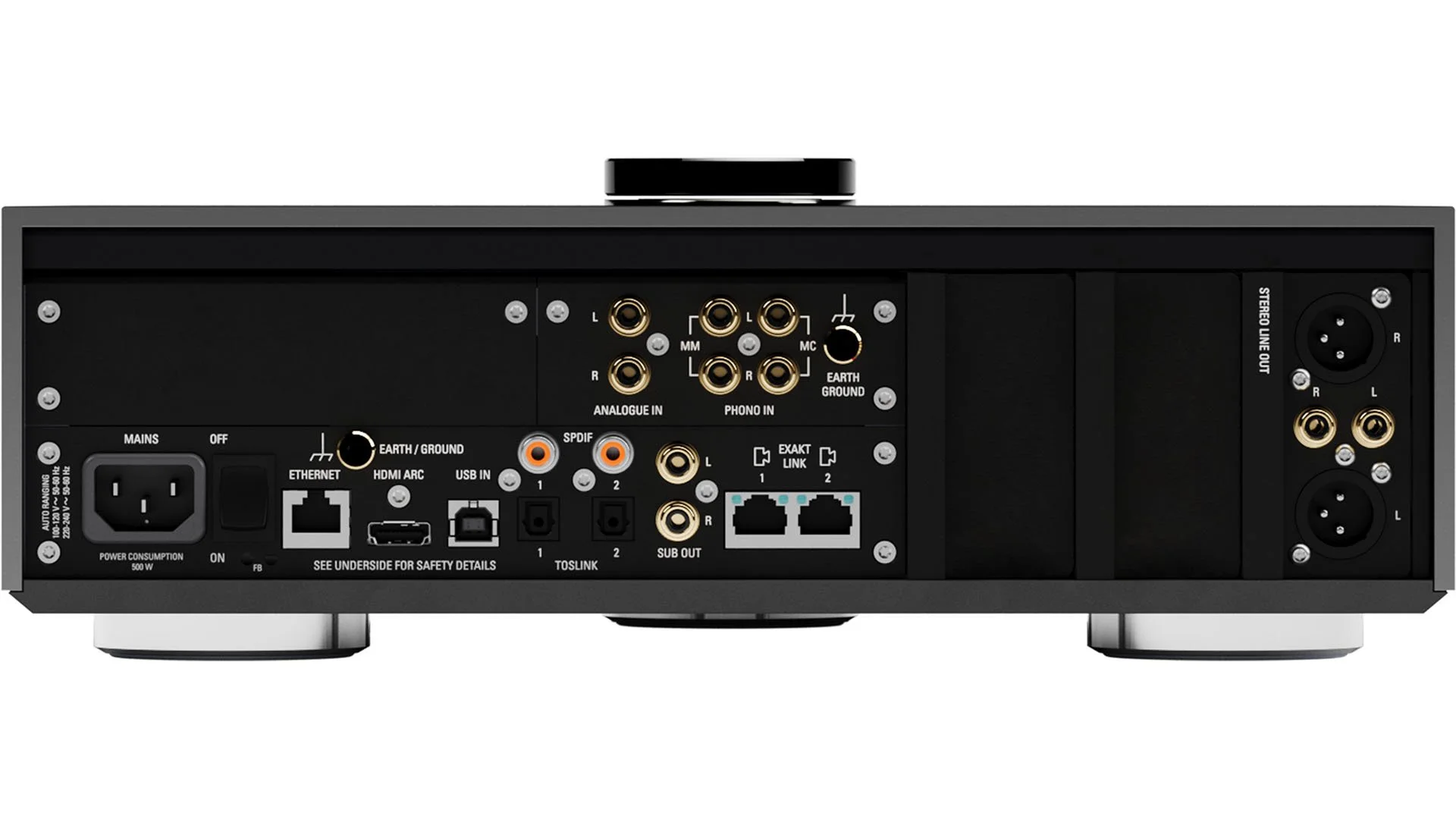 Back view of the Linn Selekt DSM Hub with stereo line out catridge installed.