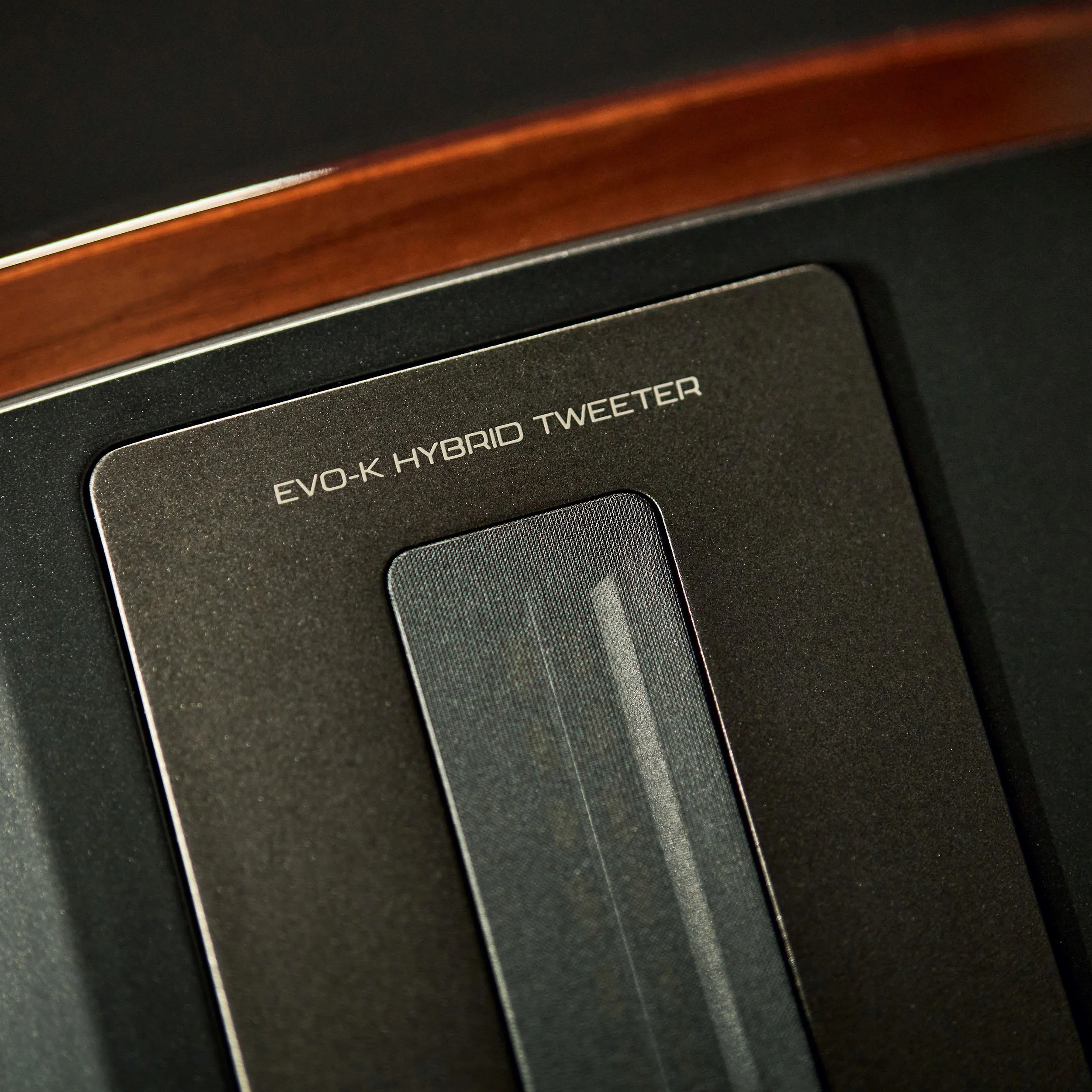 Close-up detail of the hybrid tweeter in the DALI Epikore series of luxury high-end speakers.