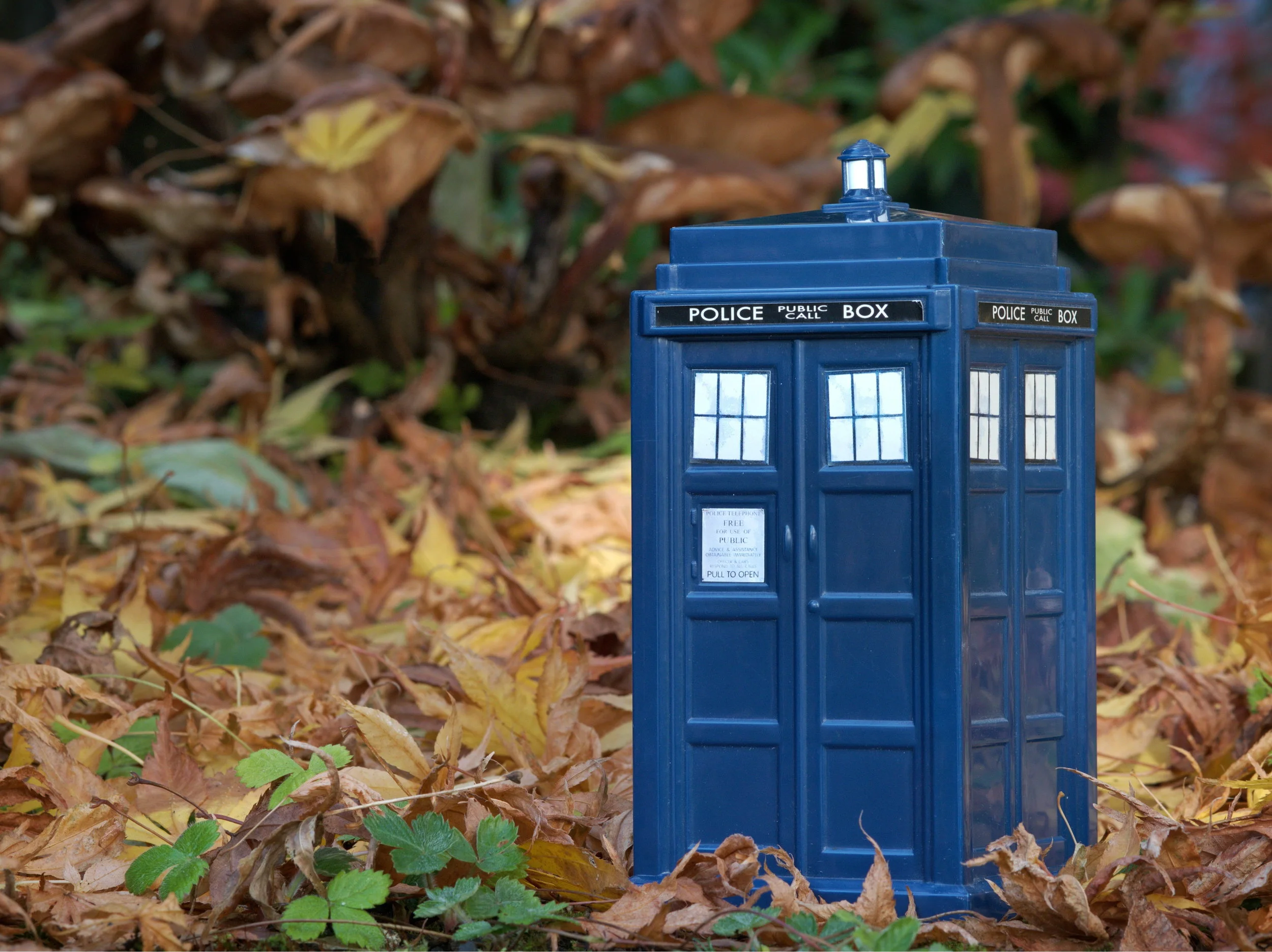 tardis-1816598.jpg