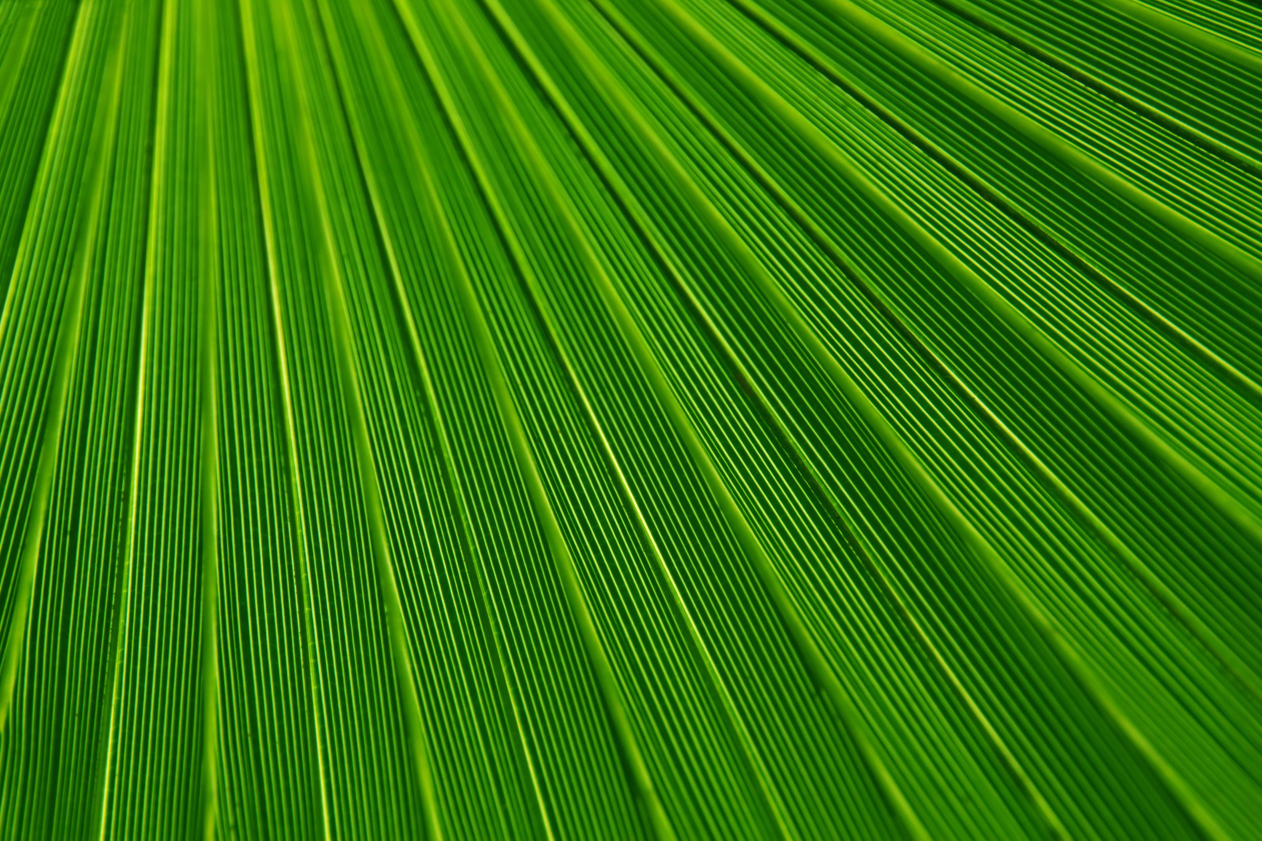 abstract-21851.jpg