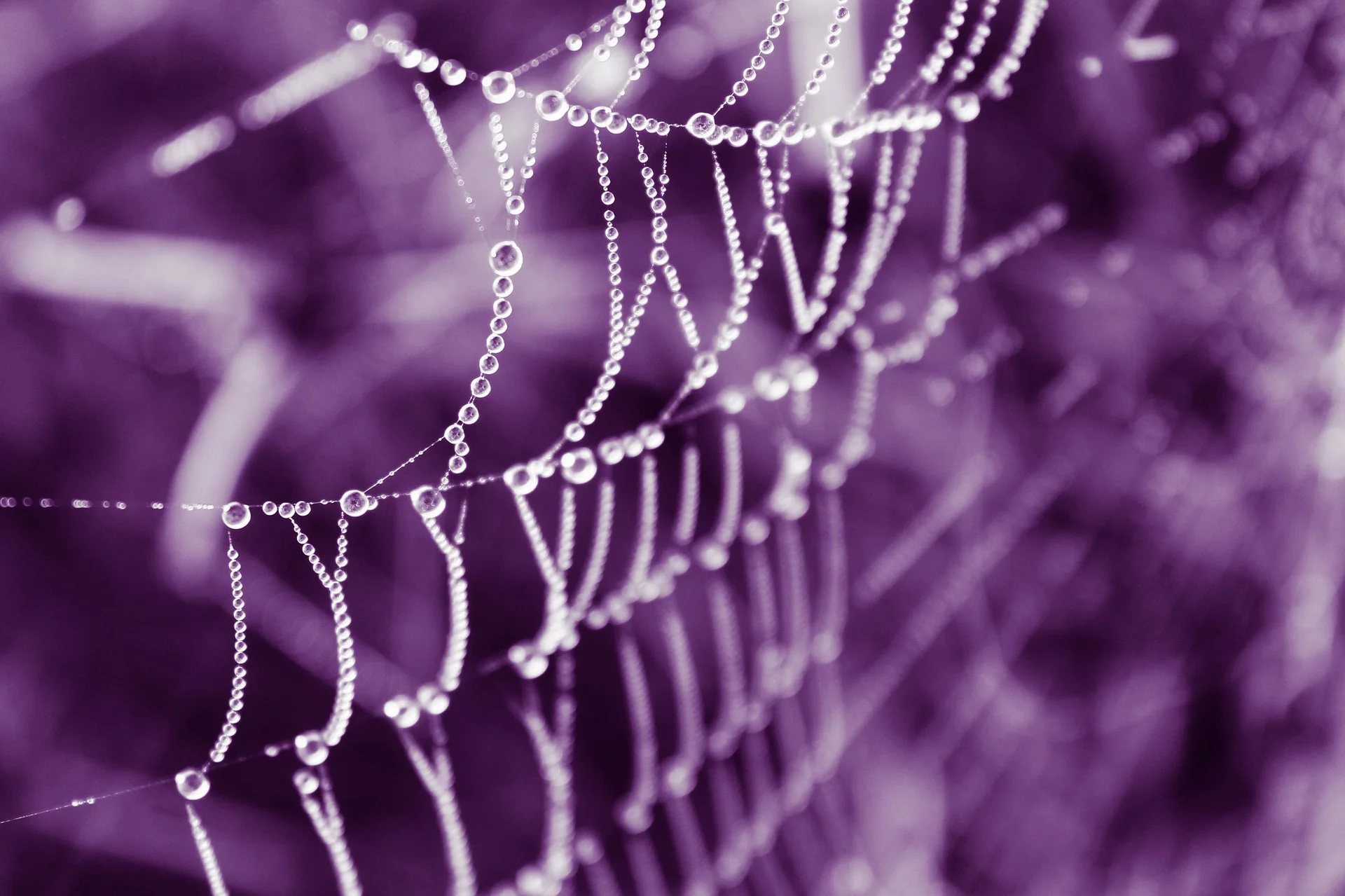 web-3876081_1920.jpg