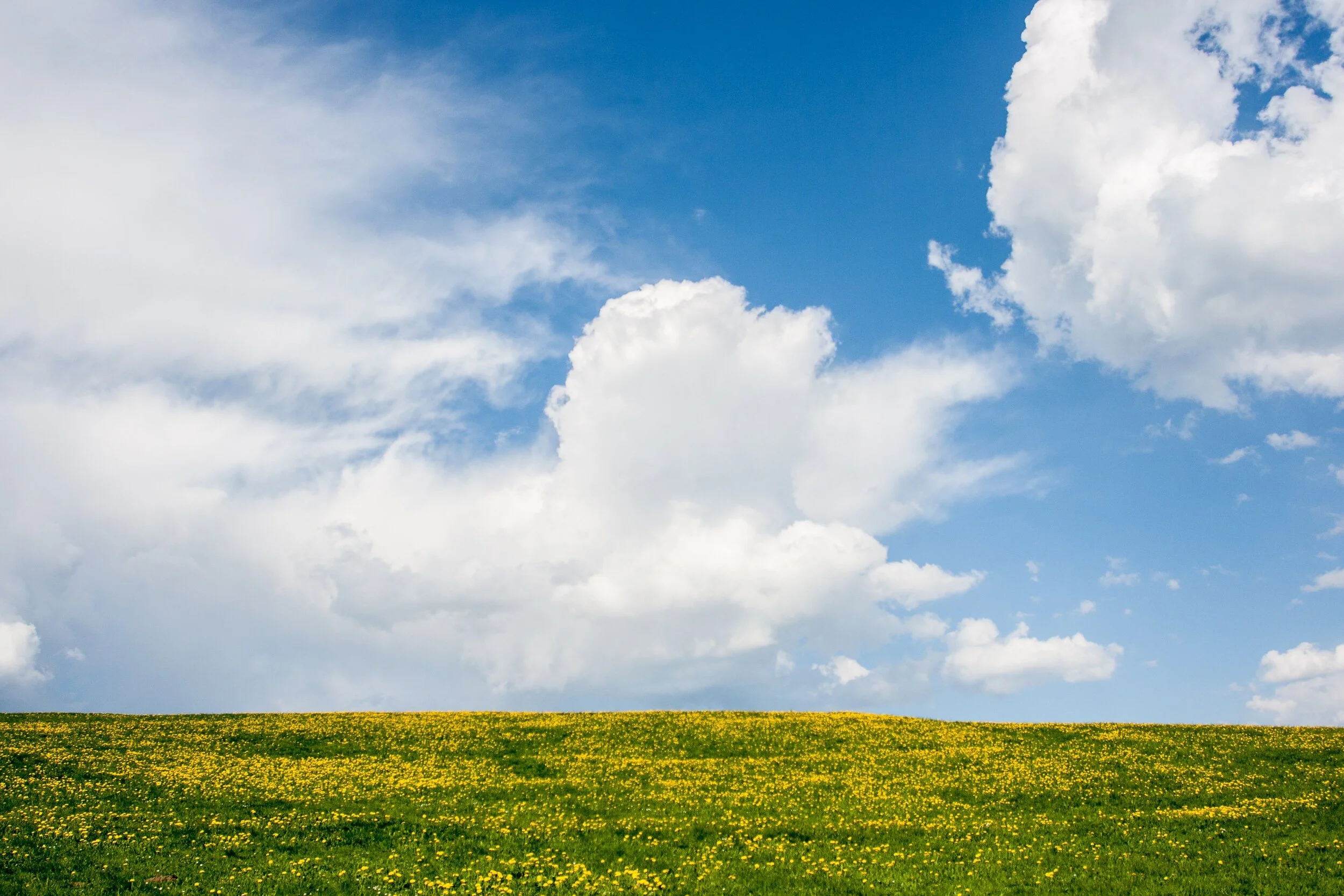 field-6109500.jpg