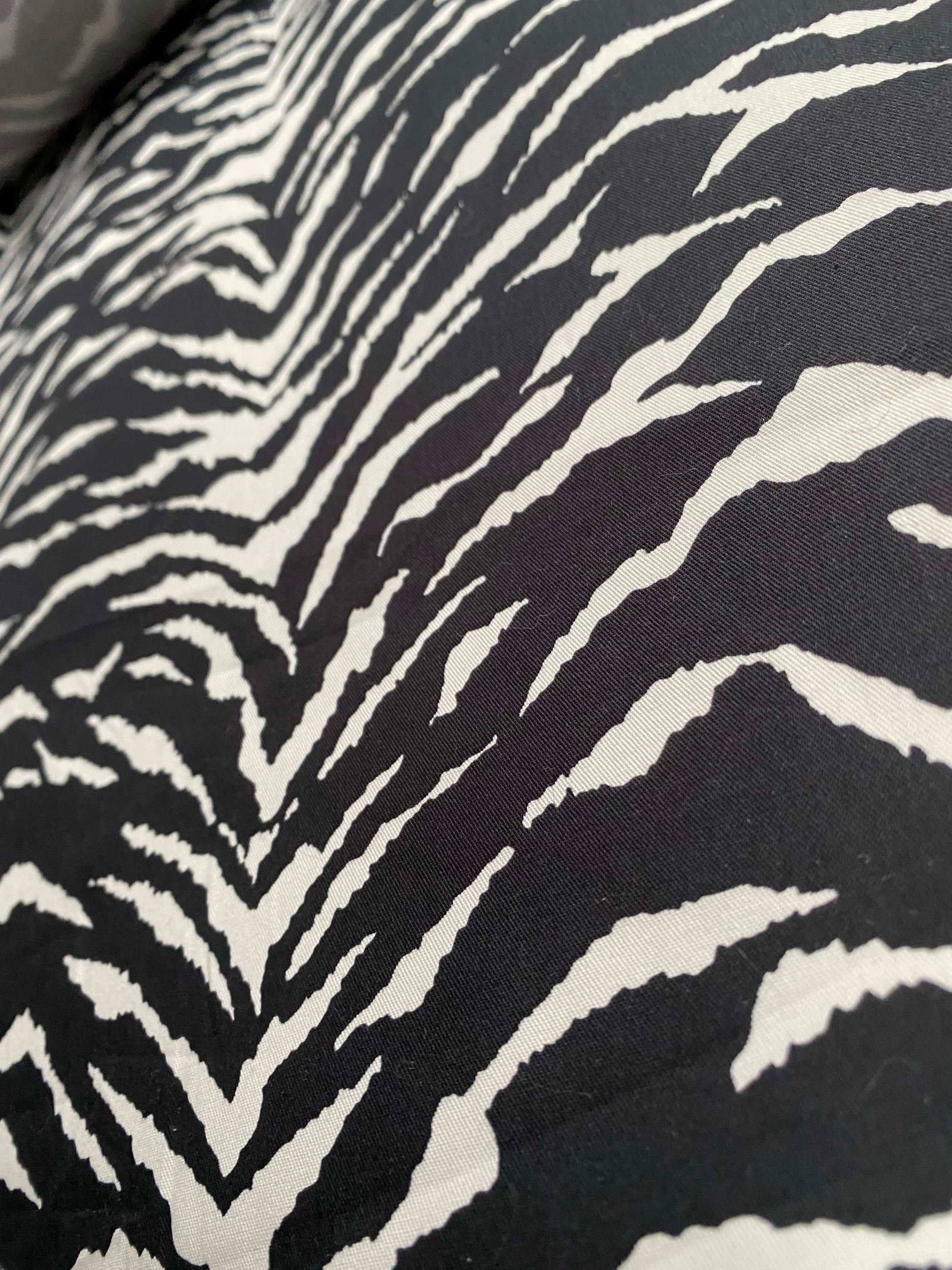 zebra3.jpg
