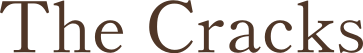 dvsite-ornament-double-swoosh--273x25.png