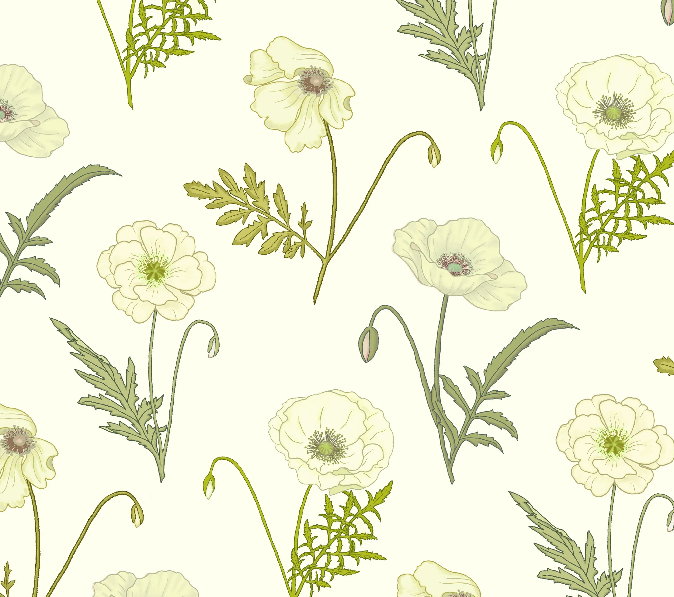 Poppy: Cream