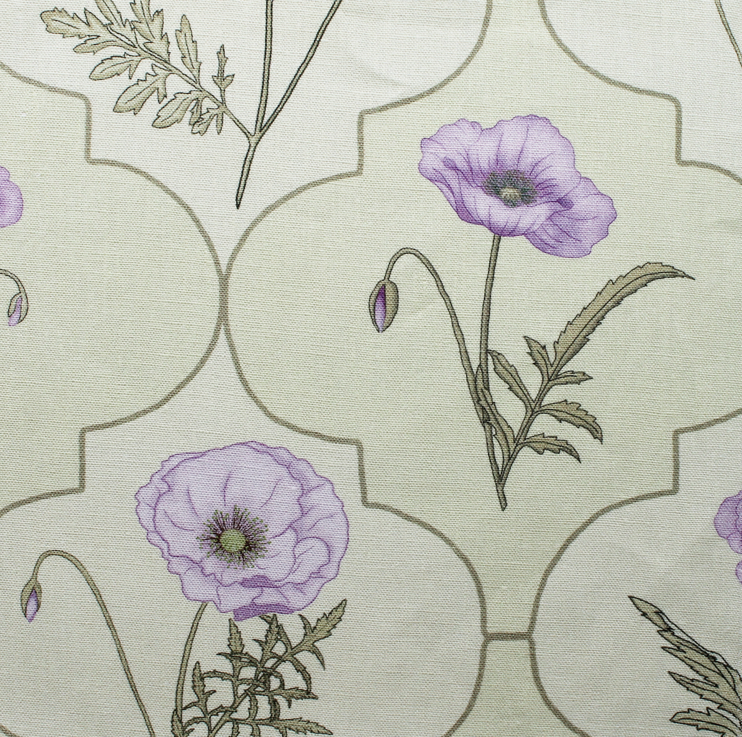 Arabesque Poppy: Lilac