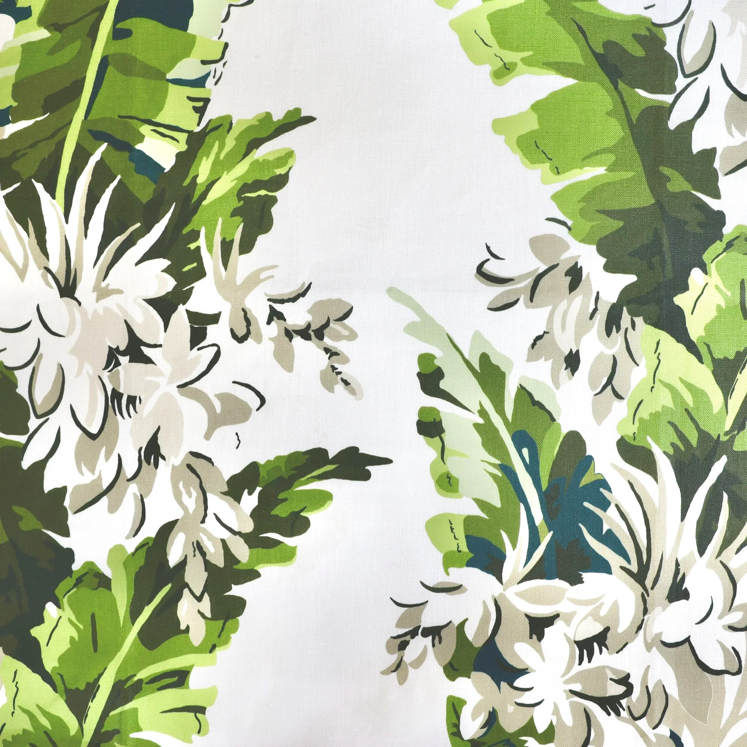 Bananas White