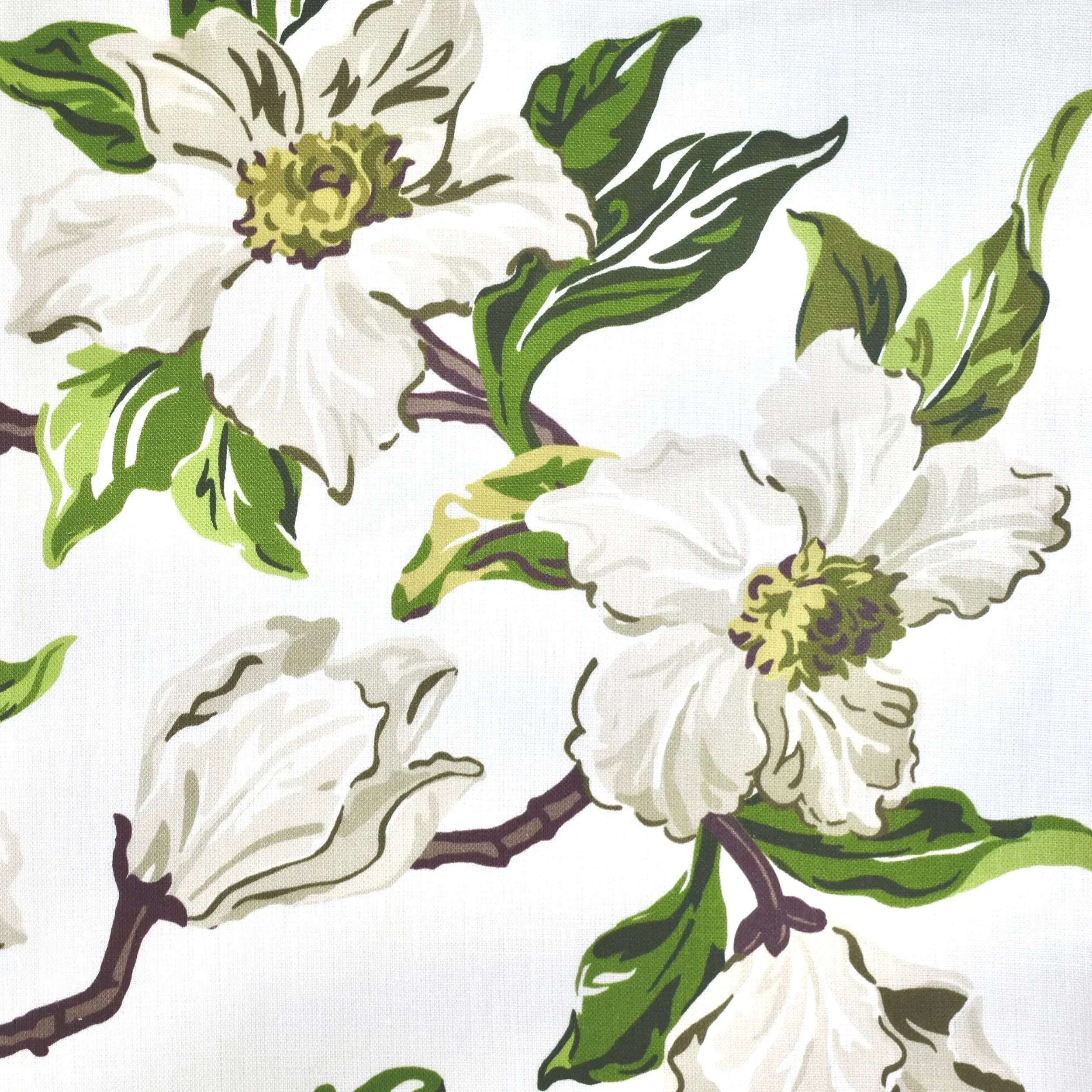 Magnolia+White