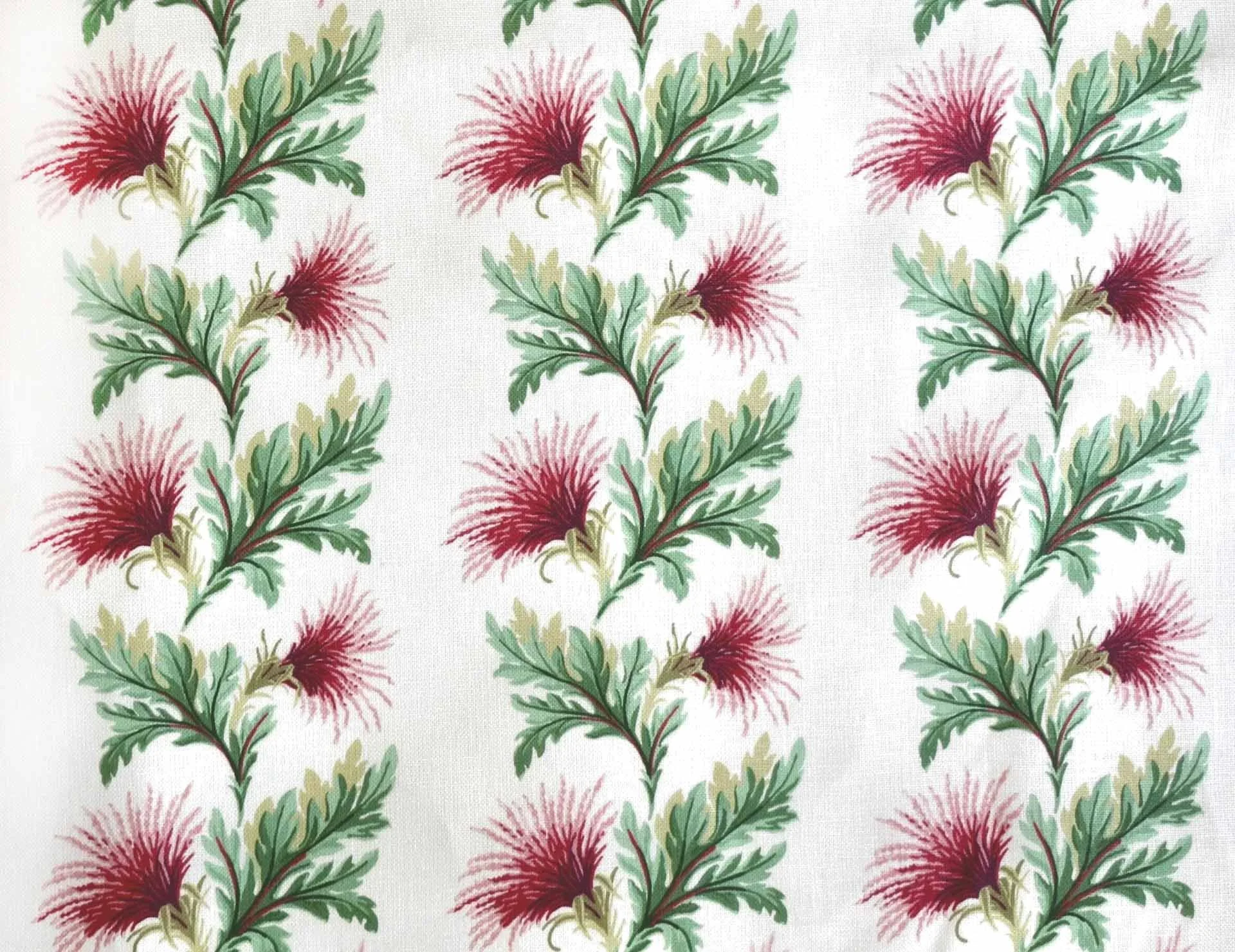 Thistle Multi
