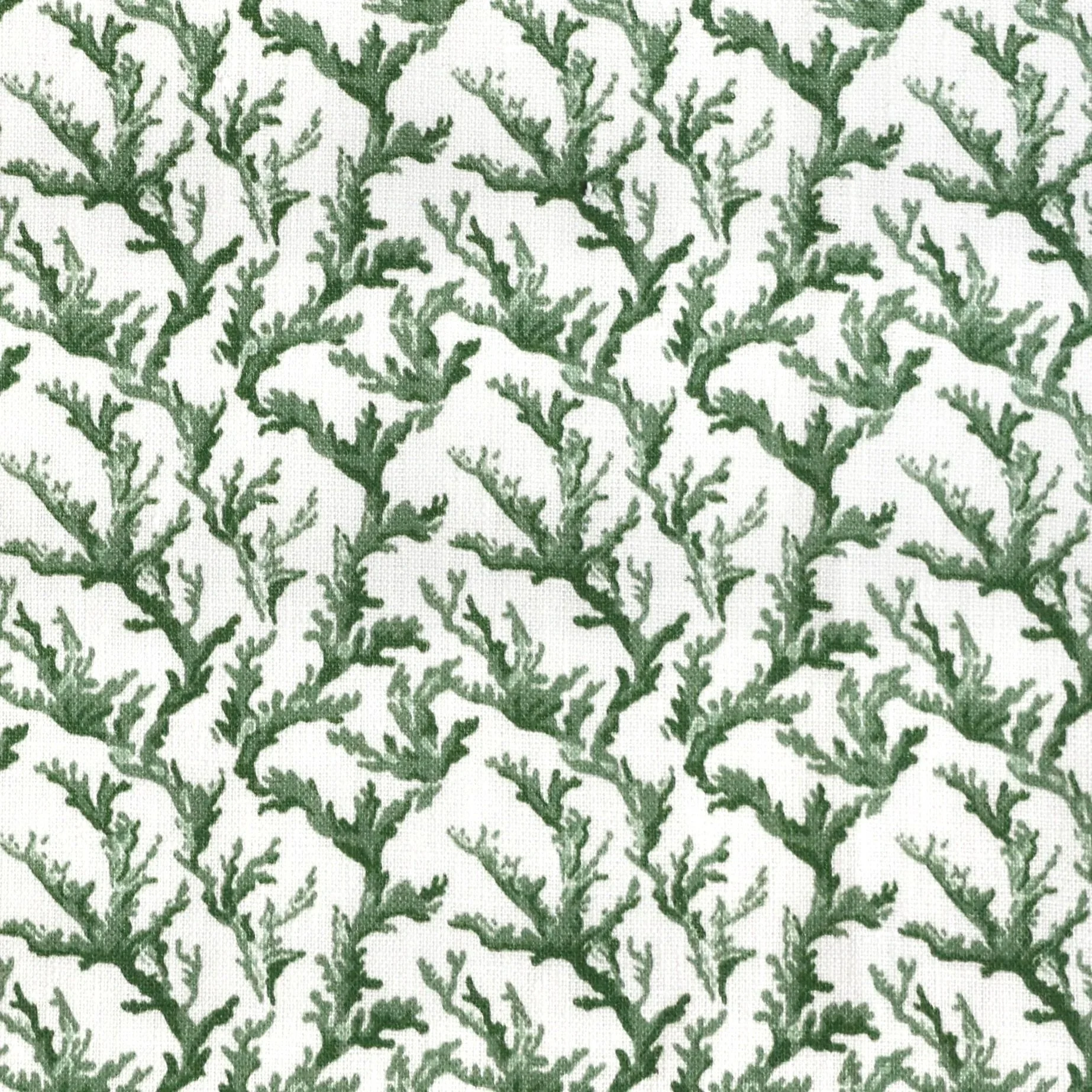Corallium Green