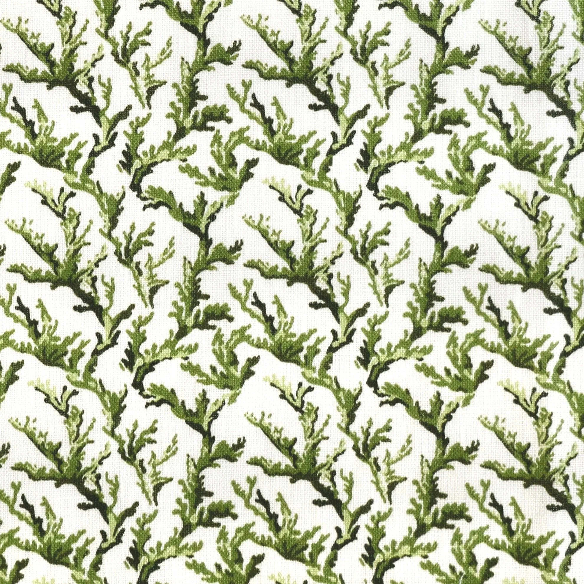 Corallium Spring Green