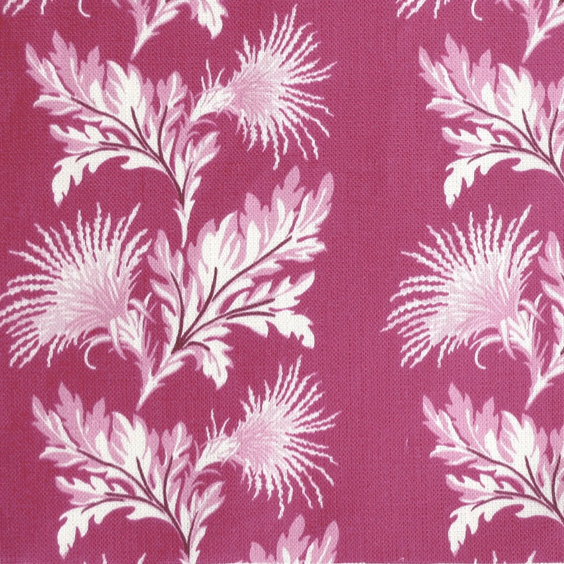 Thistle Wild Cherry