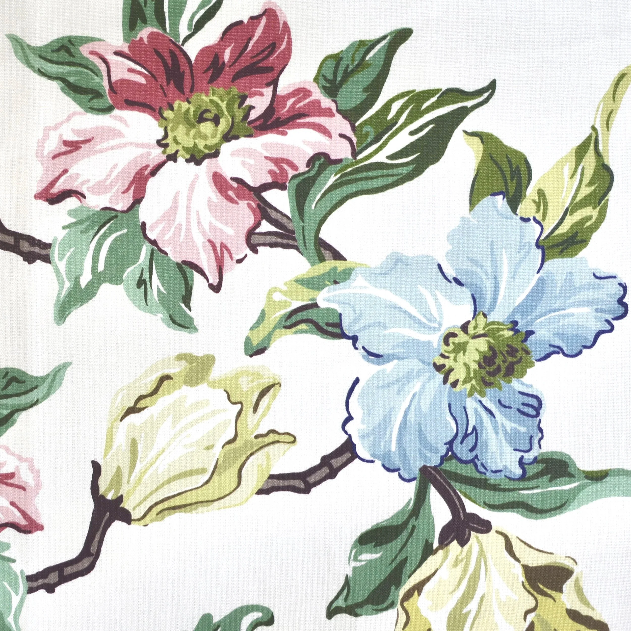 Magnolia Multi