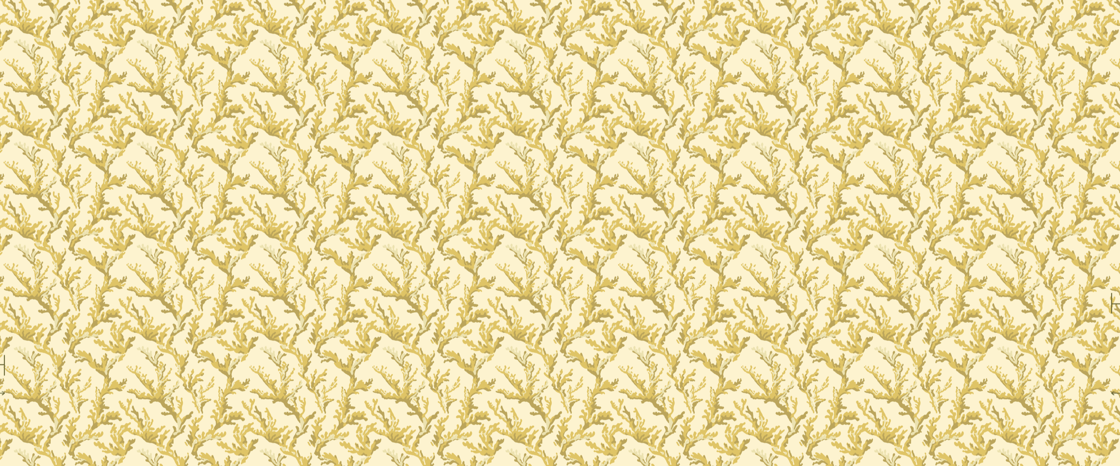 Corallium Butter Wallpaper