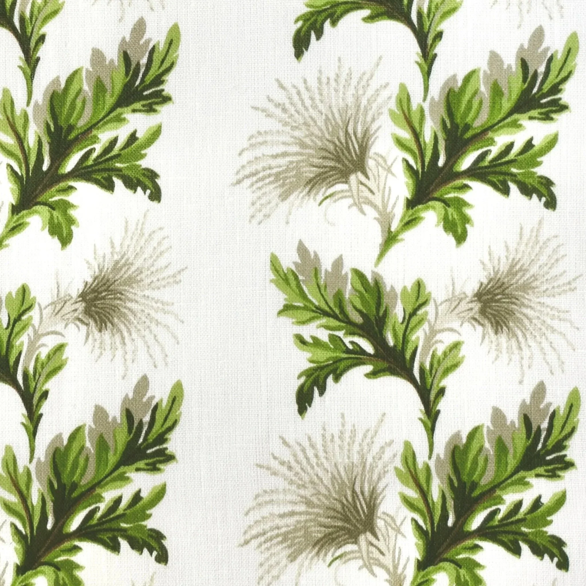 Thistle+White