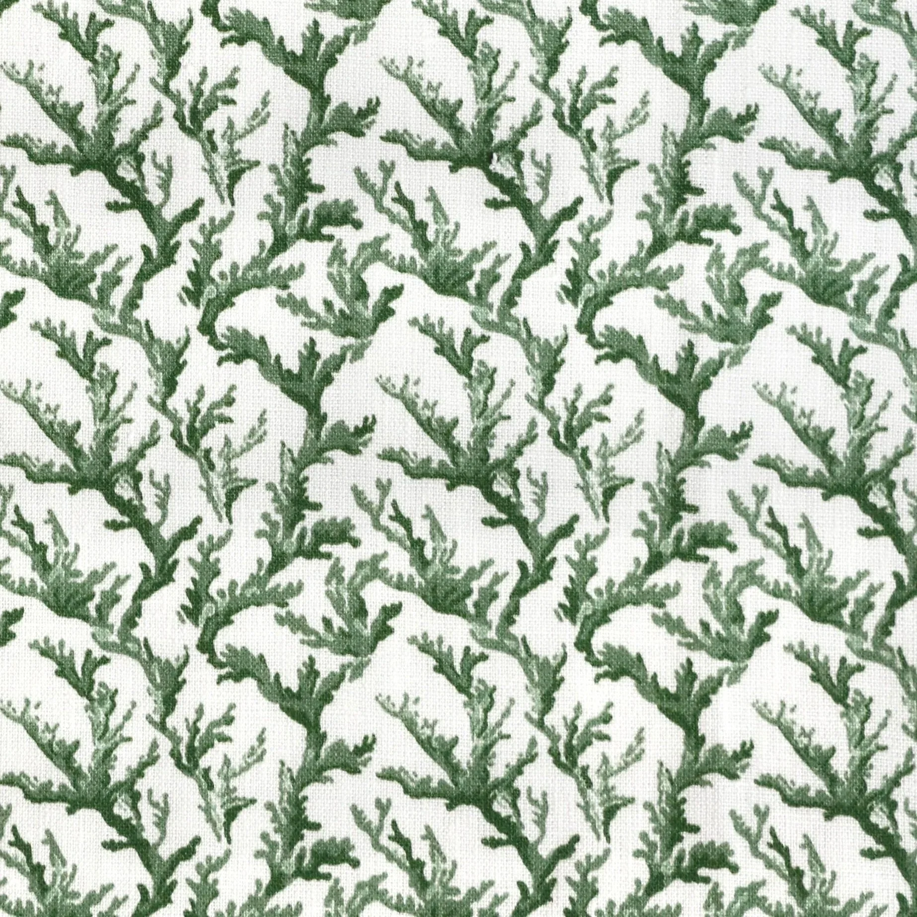 Corallium Green