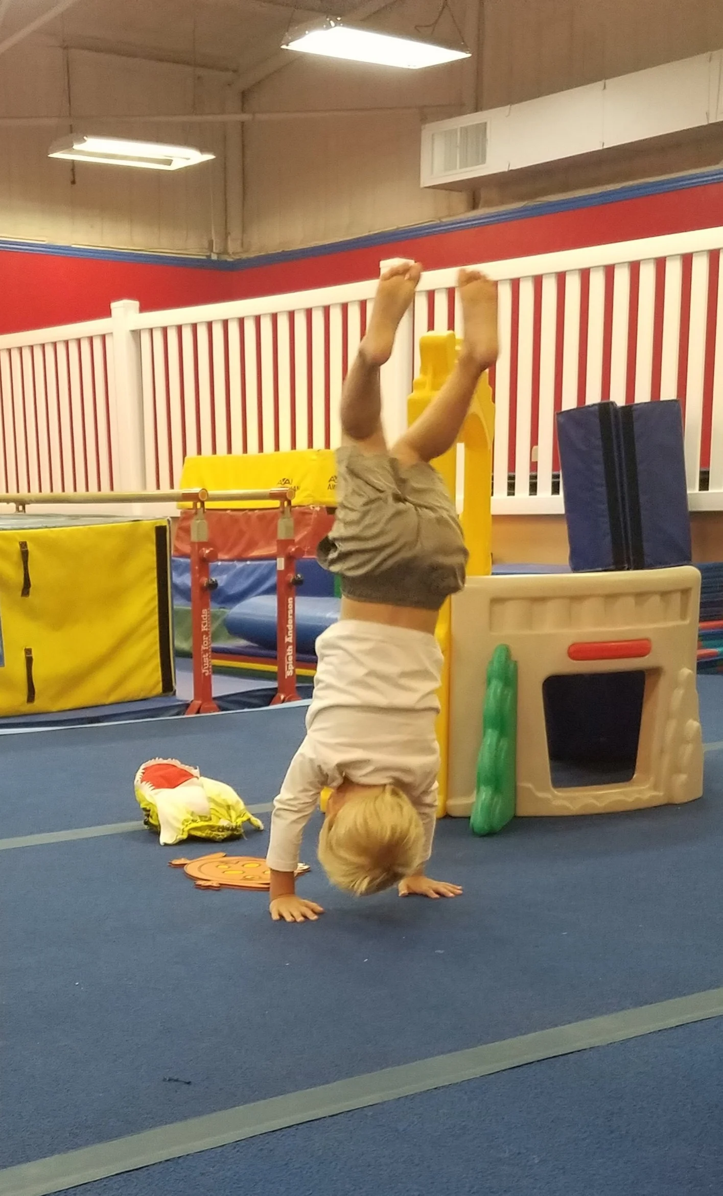 Gymnastics and Ninja Warriors — University of Gymnastics Decatur