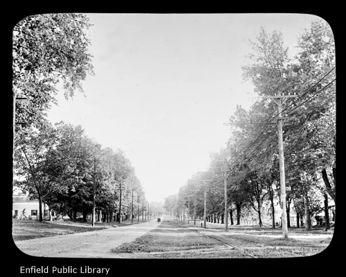 Trolley Tracks at Allen's Corner