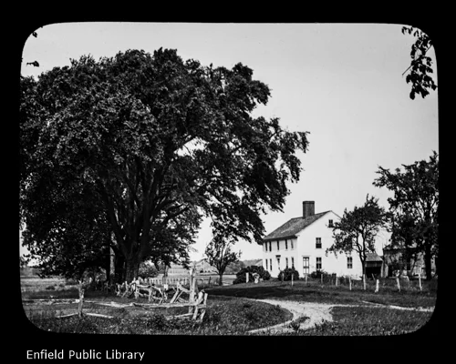 Jonathon Steele Home
