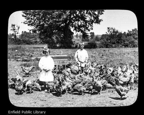 Children and Chickens