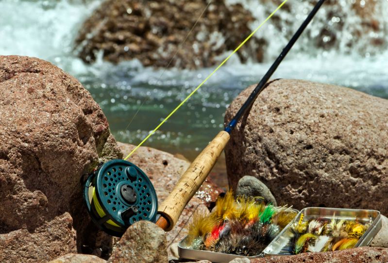 Introduction to Fly Fishing