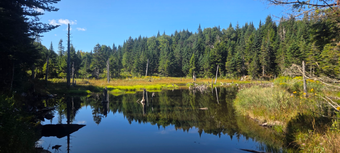 Mike's Long Trail Hike