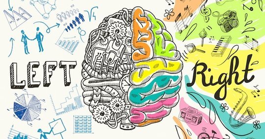 Left and Right Brain.jpeg