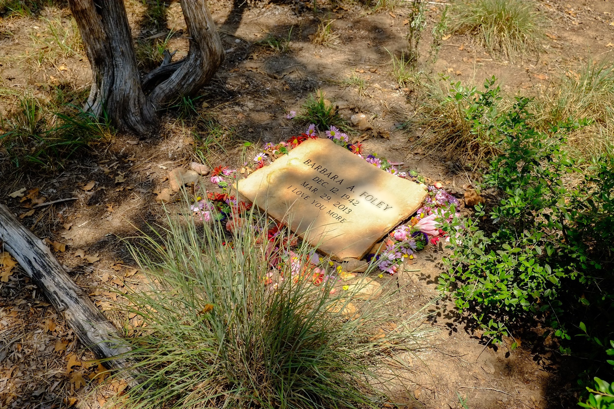 Texas: Eloise Woods Community Natural Burial Park