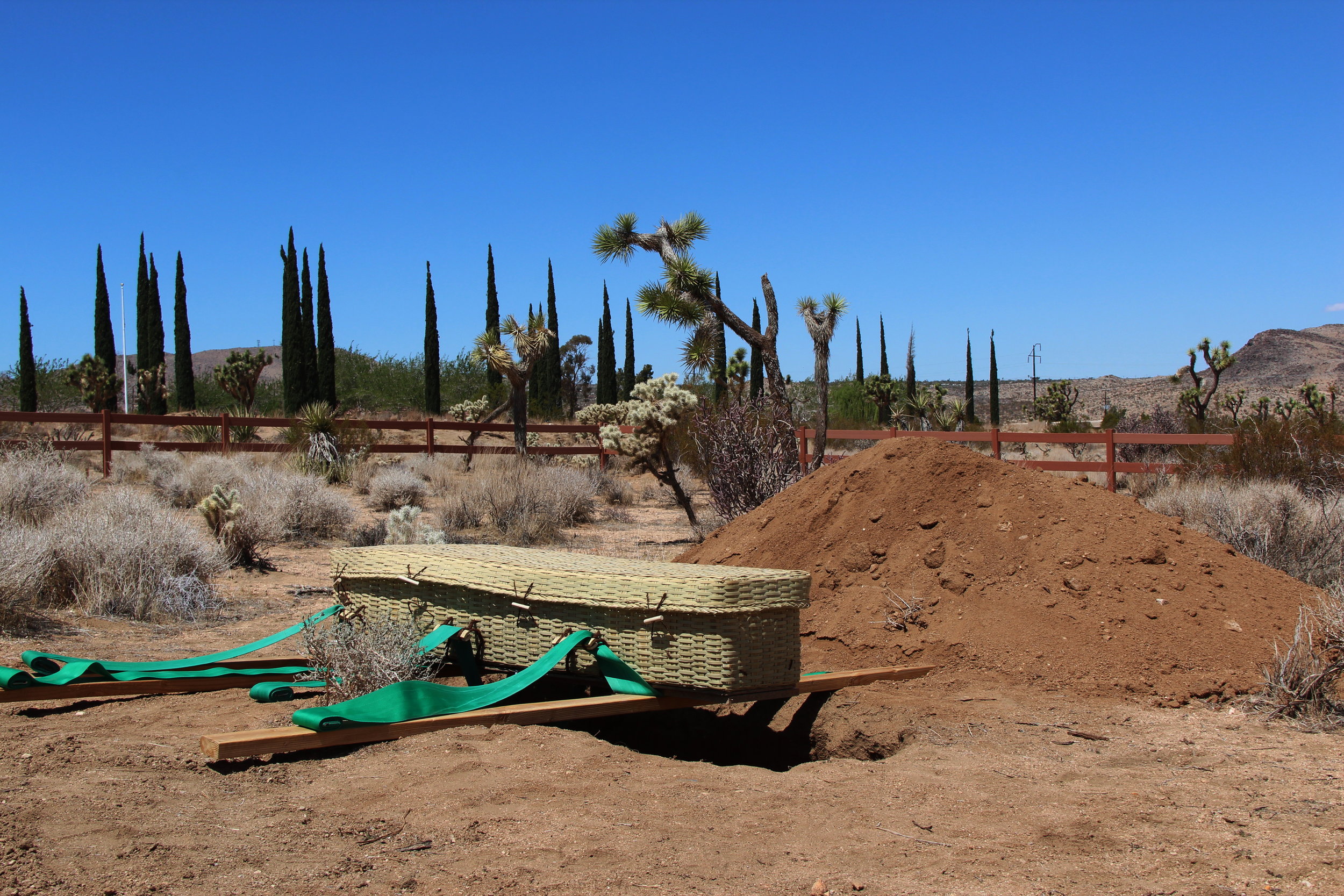 California: Joshua Tree Memorial Park