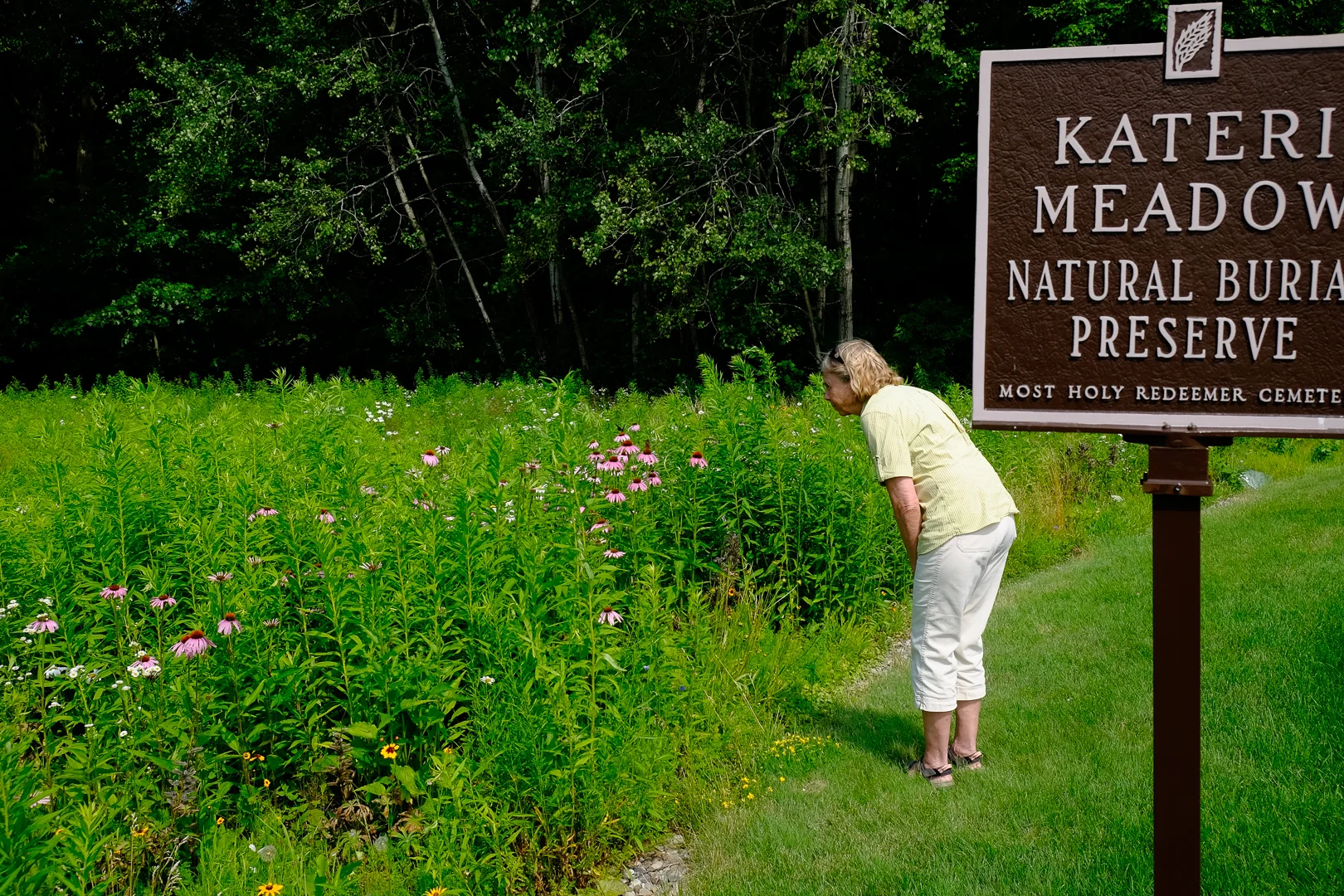 Kateri Meadow Natural Burial Preserve near Schenectady, NY photo by Tom Bailey