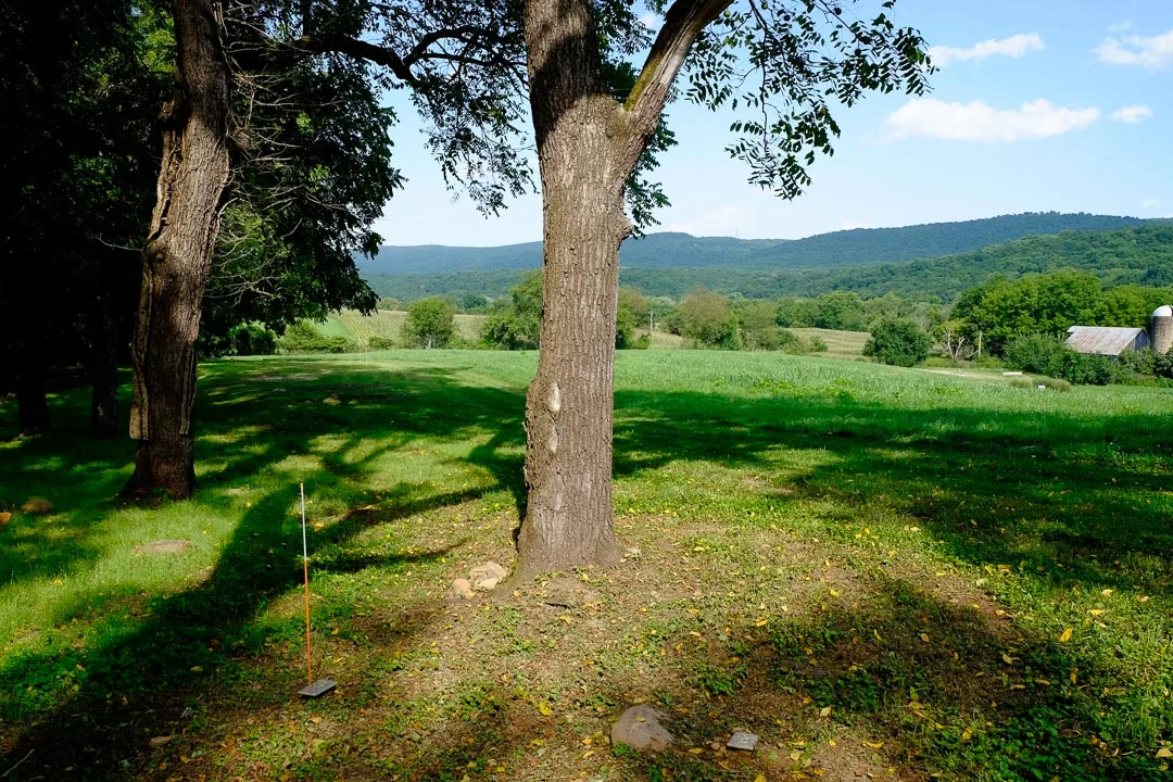 coolspring_DSF2475.jpg