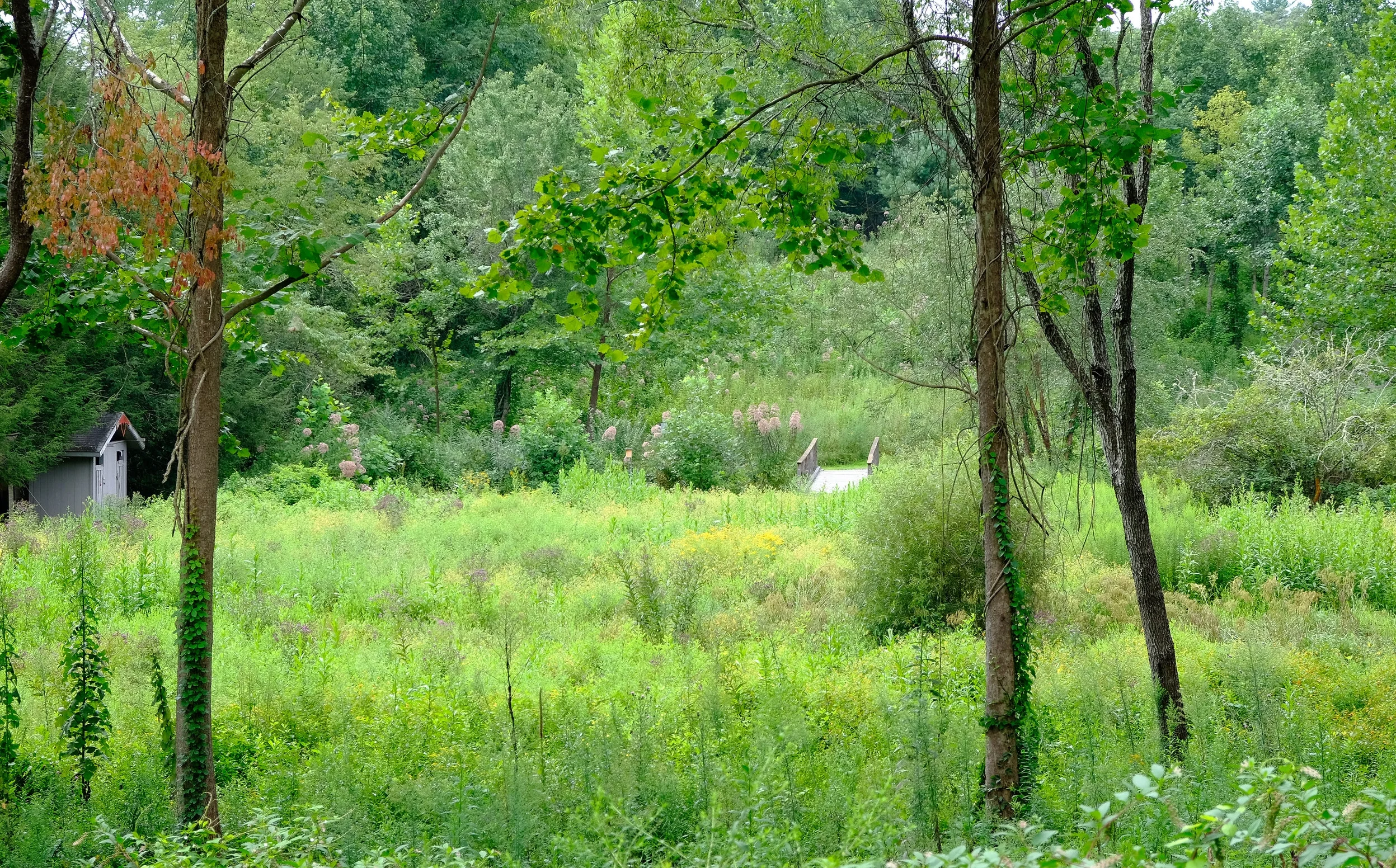 Carolina Memorial Sanctuary photos by Tom Bailey
