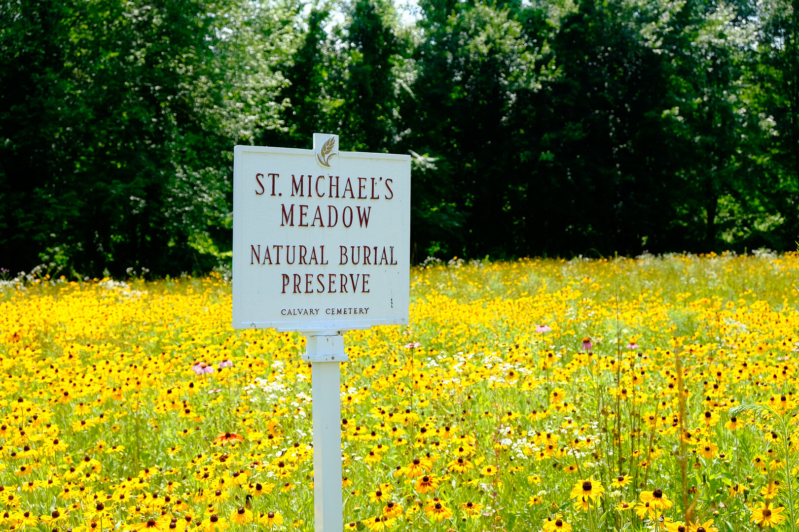 New York: Calvary Cemetery St. Michael's Meadow