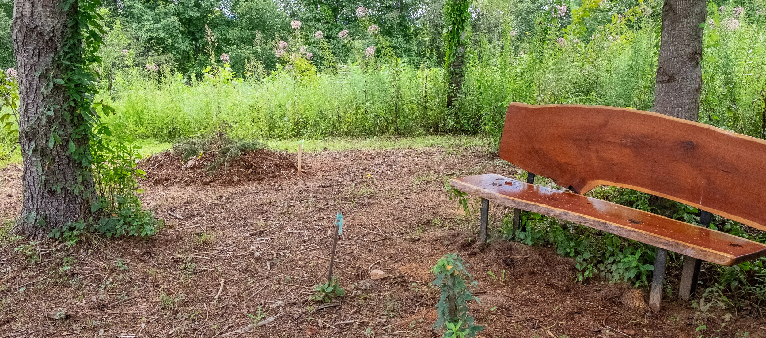 Green Burial Naturally