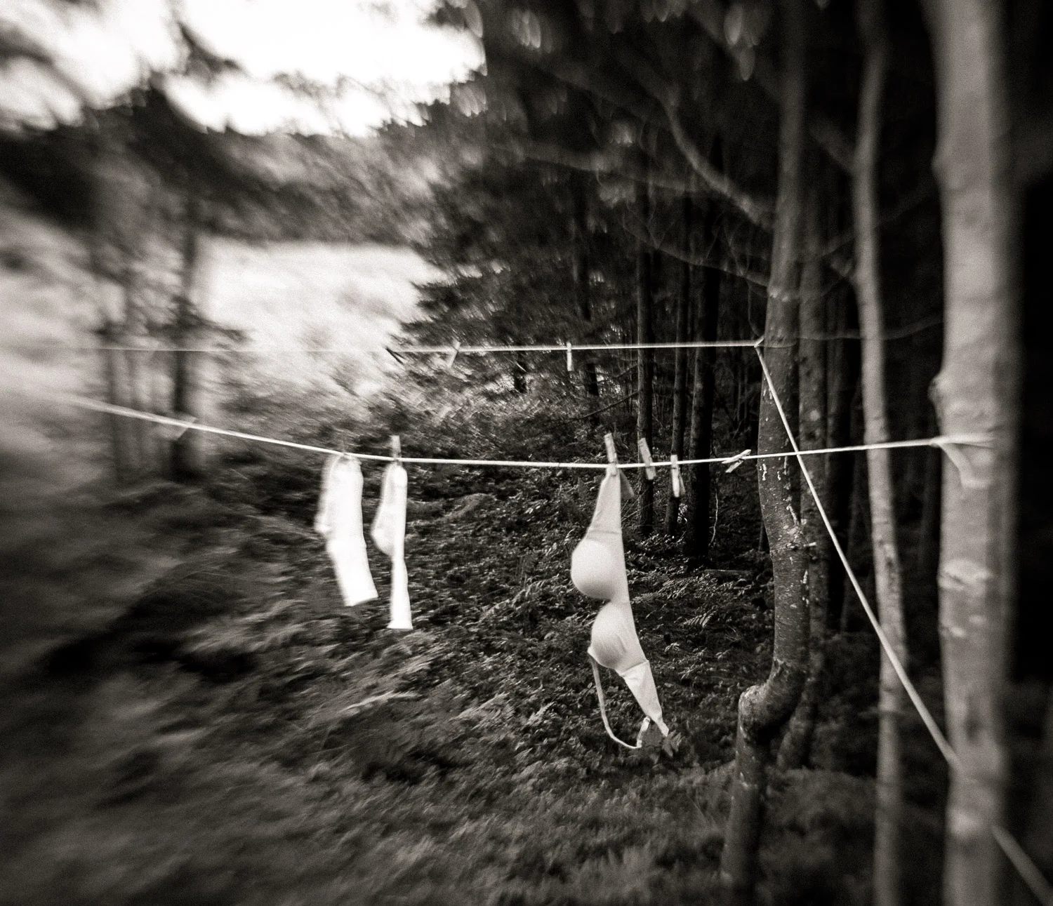 Maine2013-1219.jpg