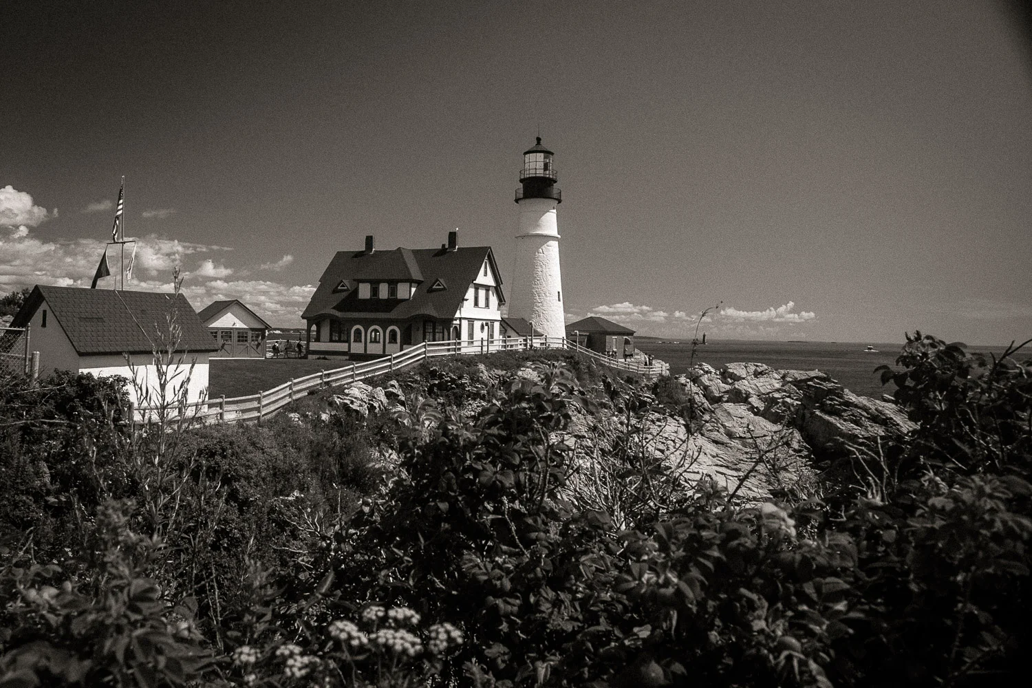 Maine2013-1378.jpg