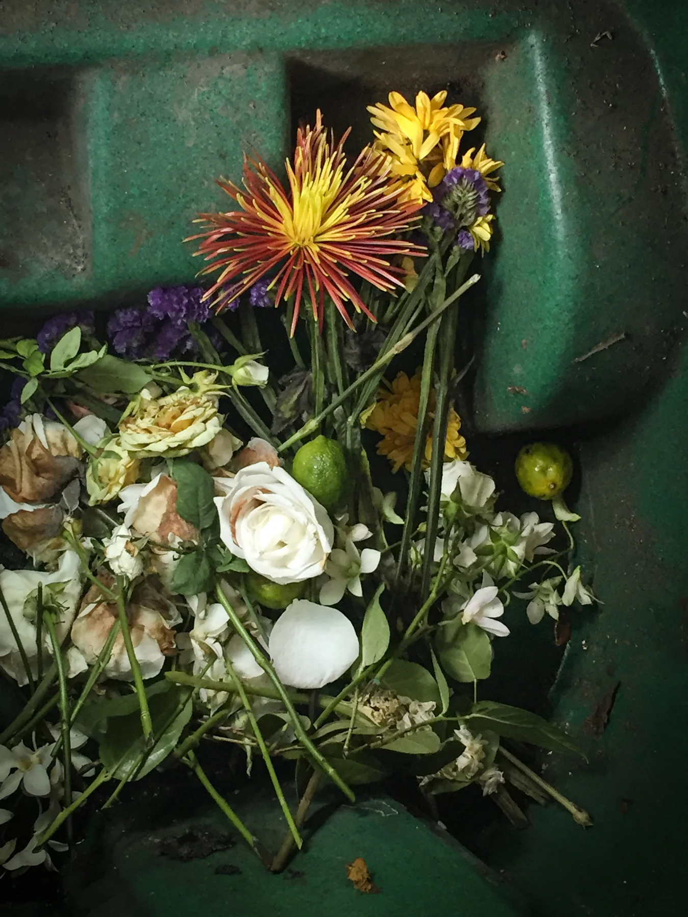 Recycled beauty-5609.jpg