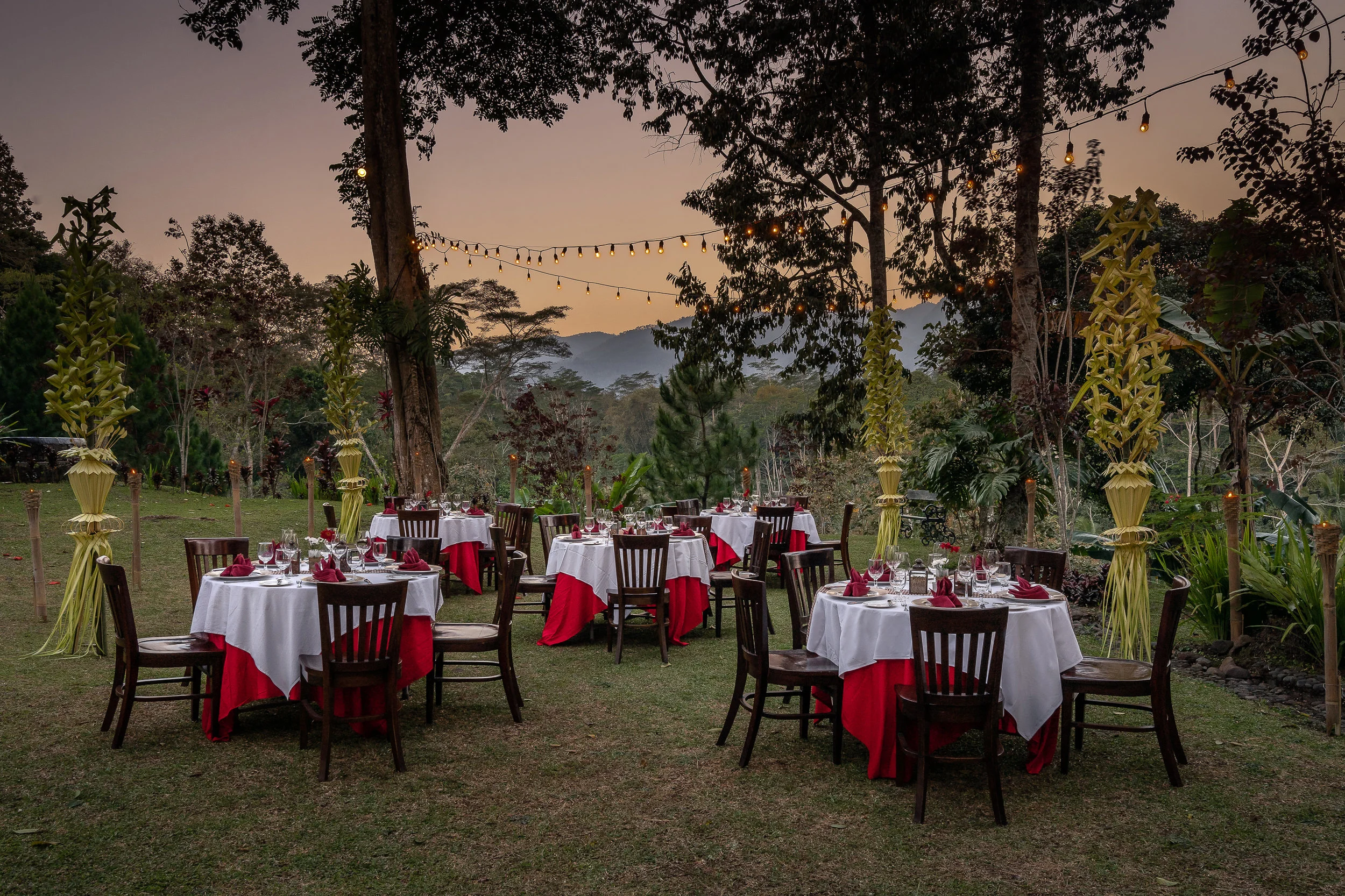 Dinner Setup (1).jpg