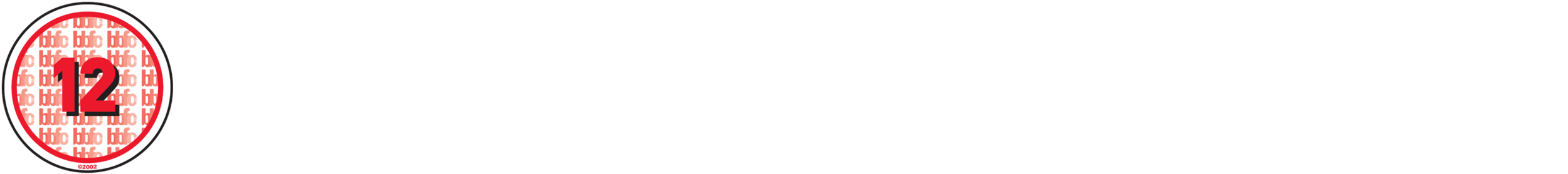 Copy of 12_Rating.png