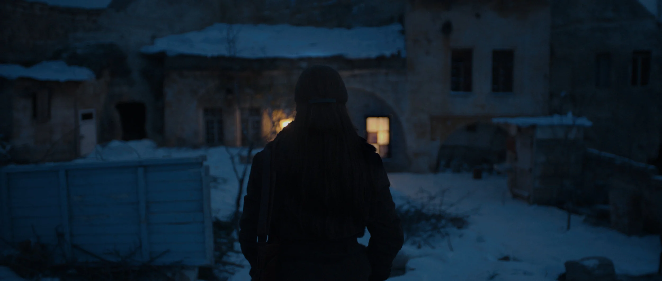 wintersleep 1.jpg