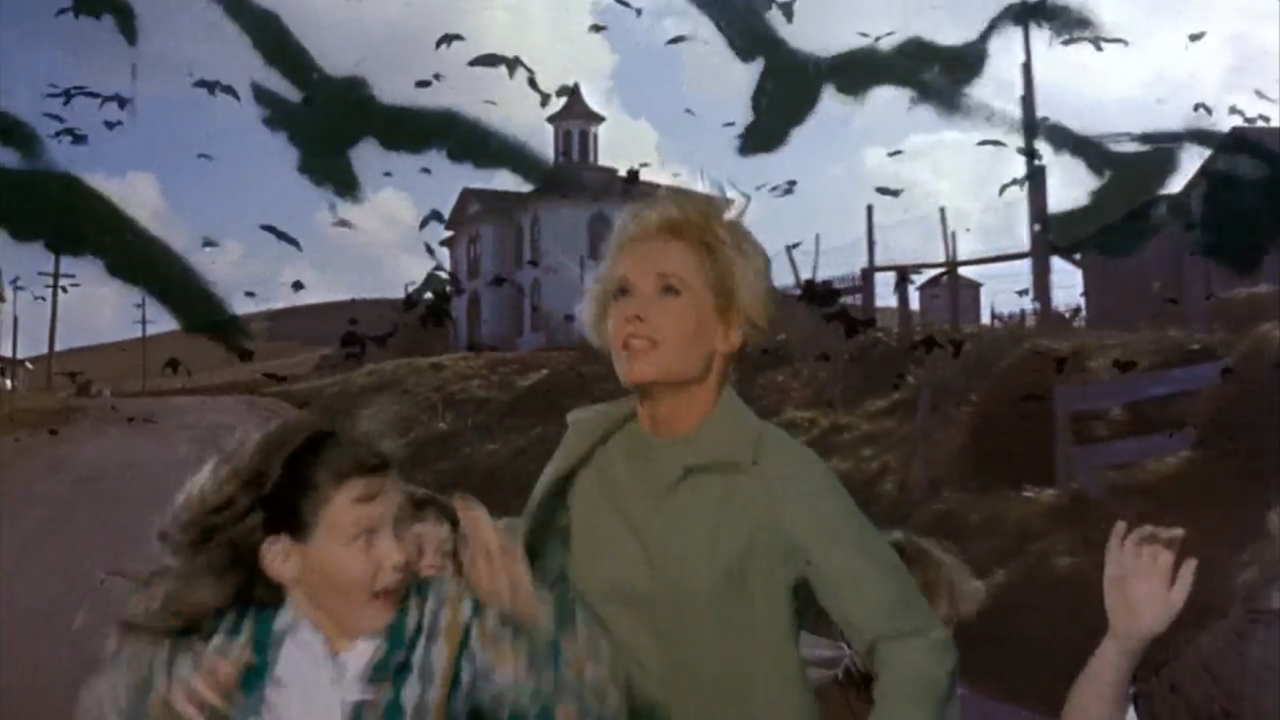 thebirdsschool.png