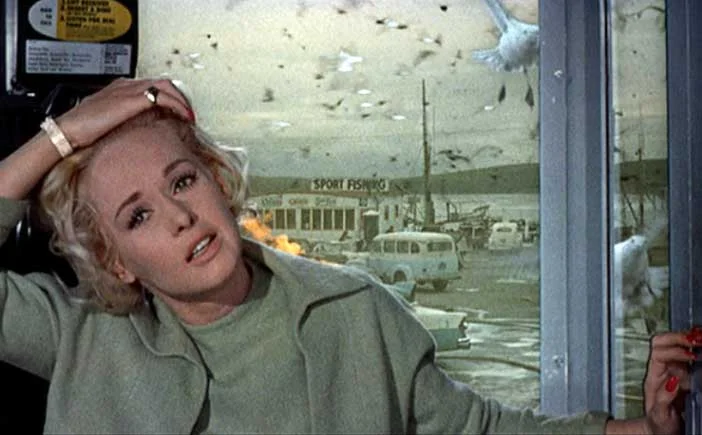 702full-the-birds-(1963)-screenshot.jpg