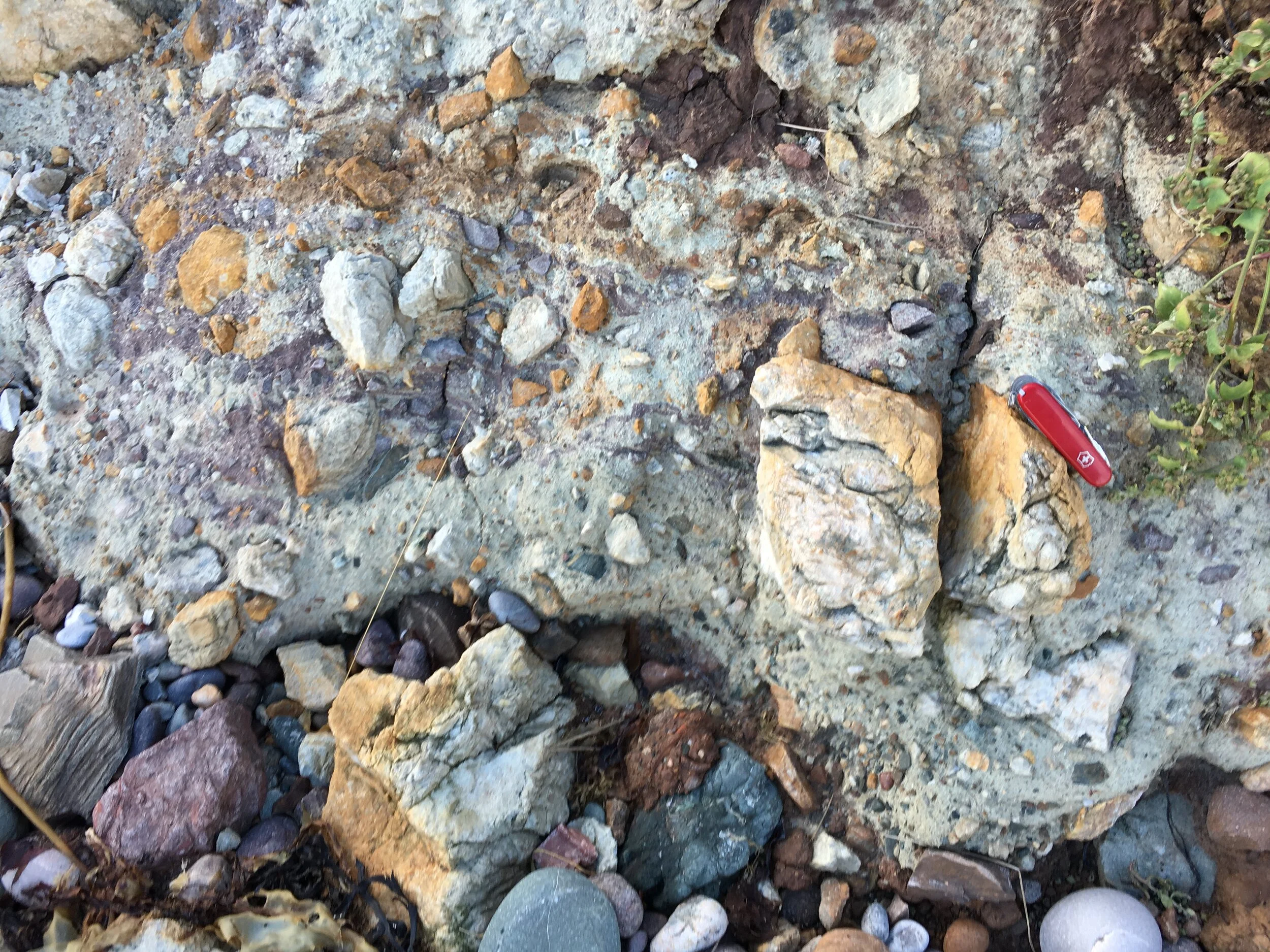 Reservoir presence linked to faults 