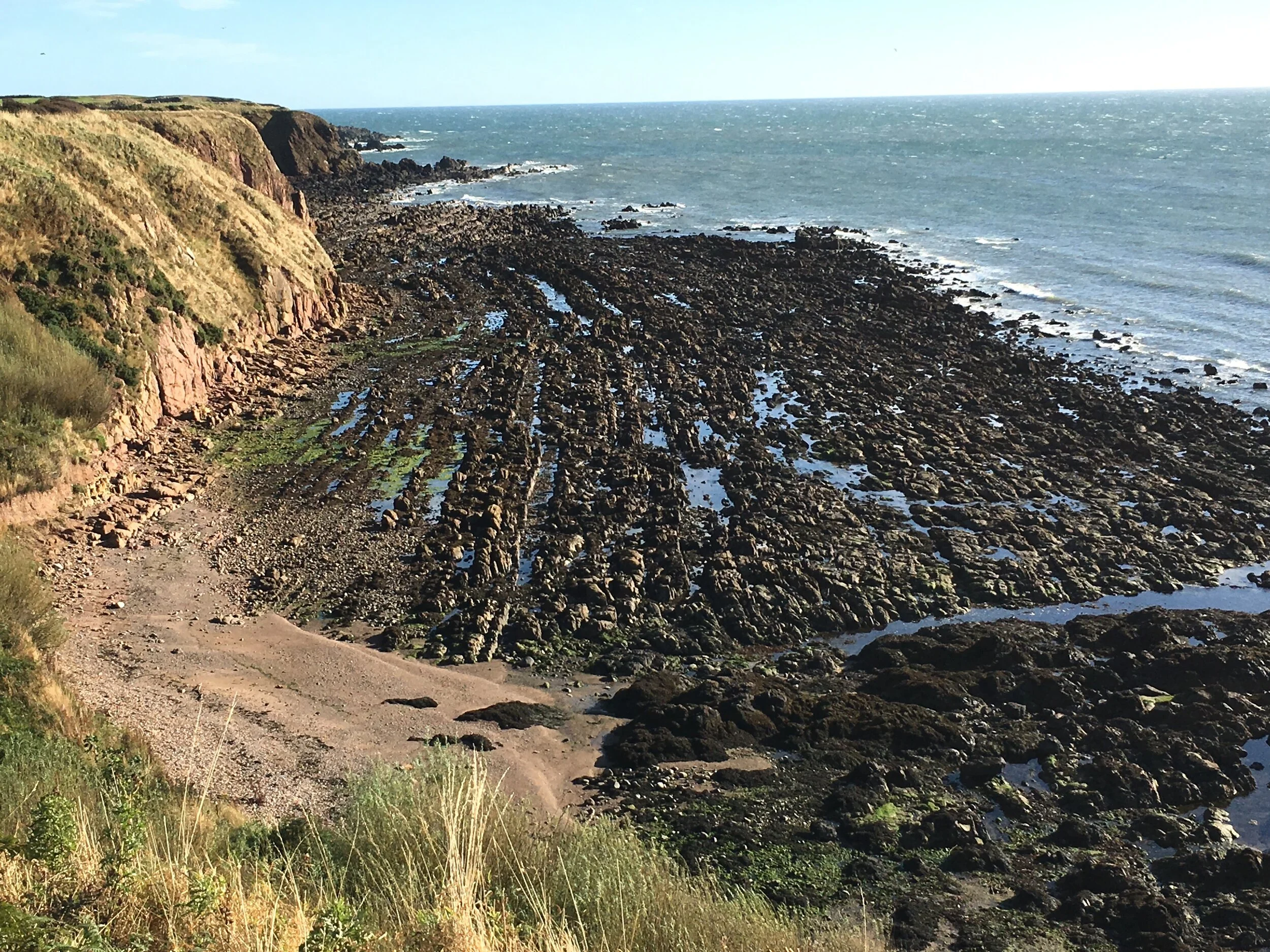 Steeply Dipping Beds, Stonehaven, UK 