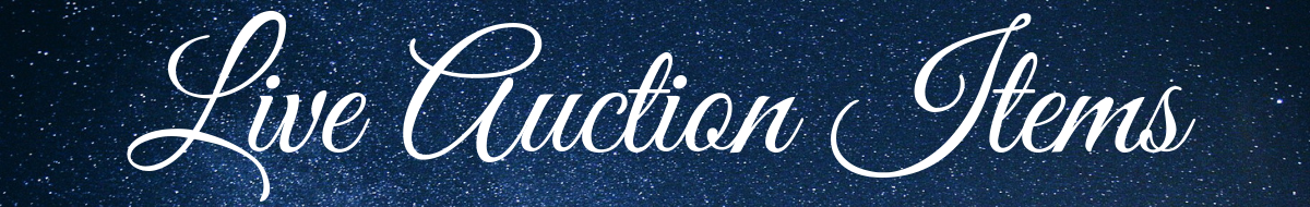 Live Auction Items (1).png