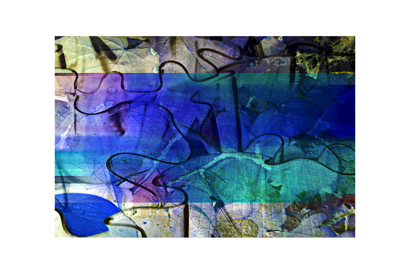 abito-qua-in-una-casa-meta݀-cocci-meta݀-coccinelle_-i-live-here,-in-a-house-half-shards-half-ladybugs.png