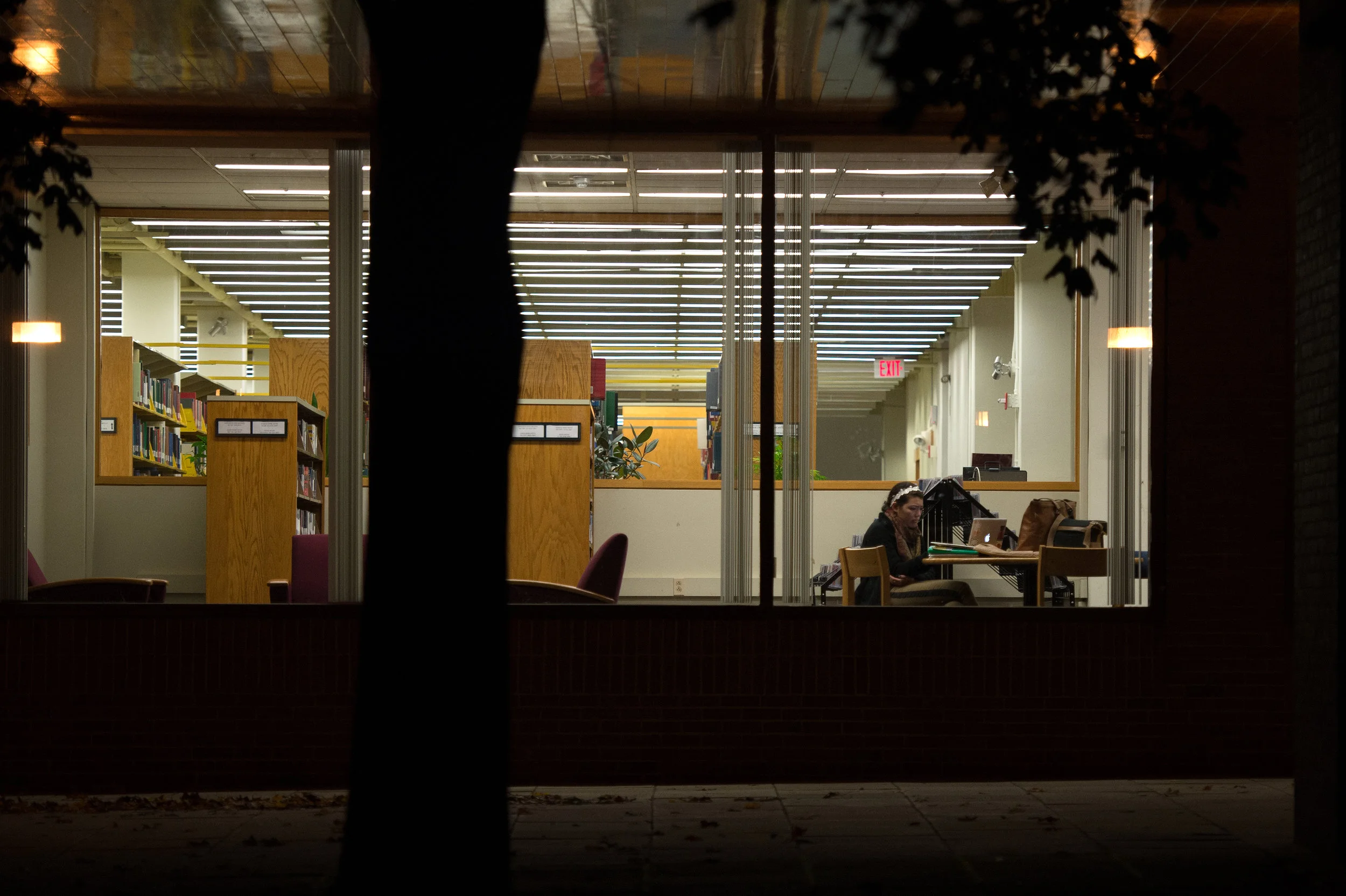 Students work in Ladd Library at Bates College on October 11, 2012.