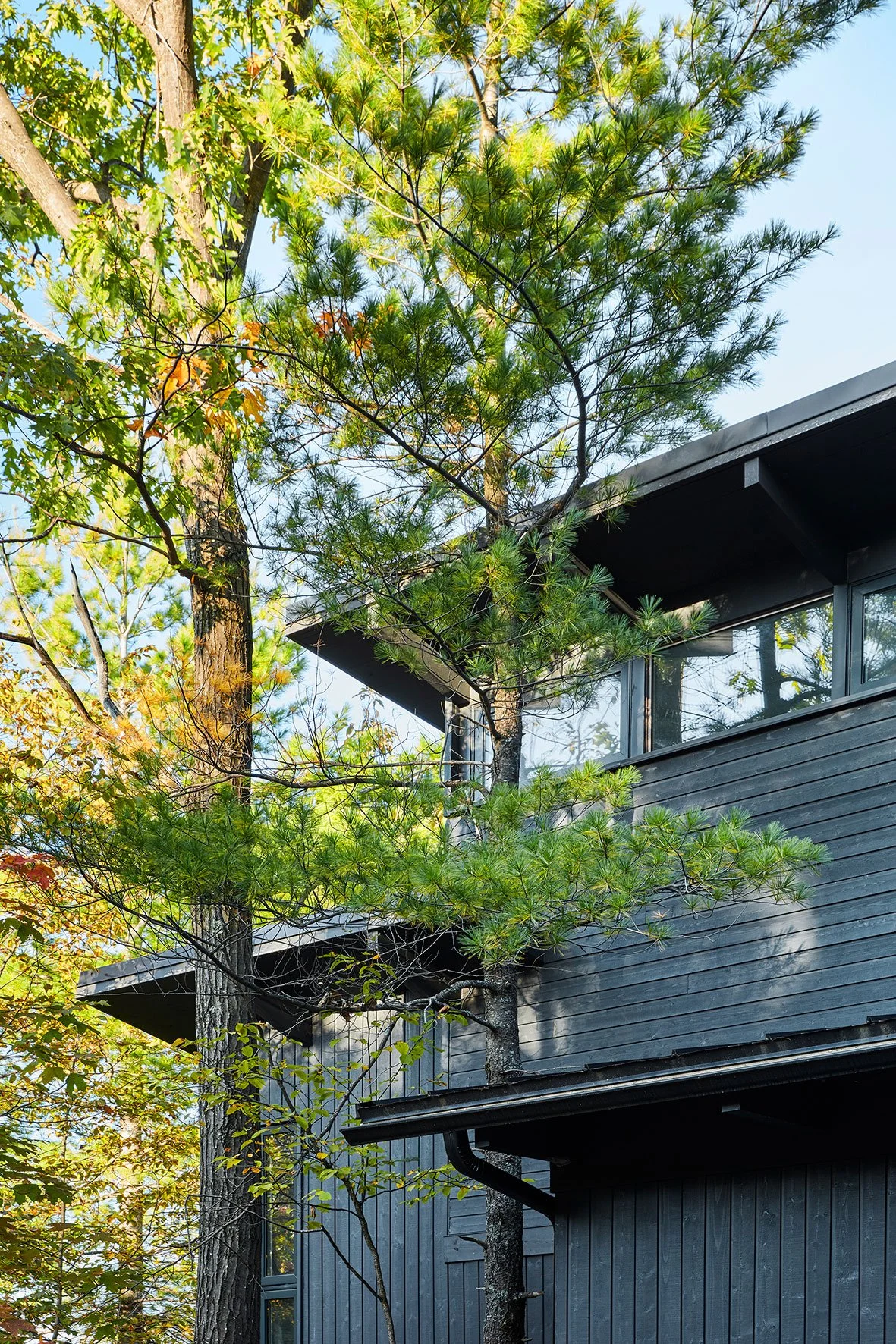 EXTERIOR-036.jpg