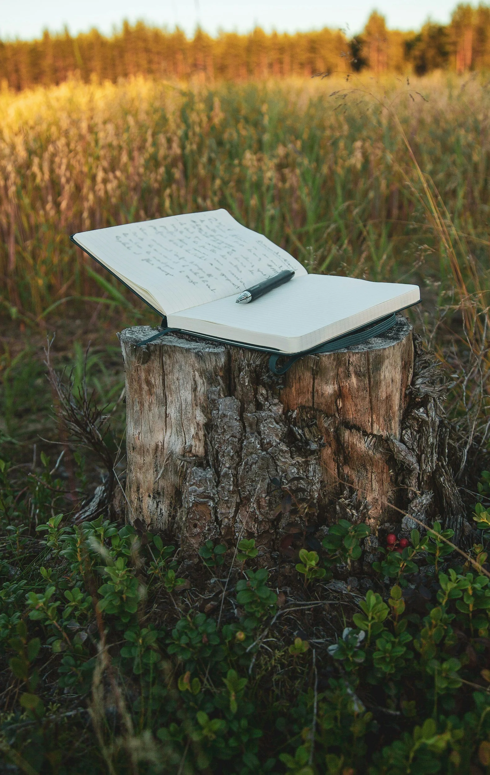 42 Quotes on Creativity to Get You Unstuck (When Writing Feels Blah)