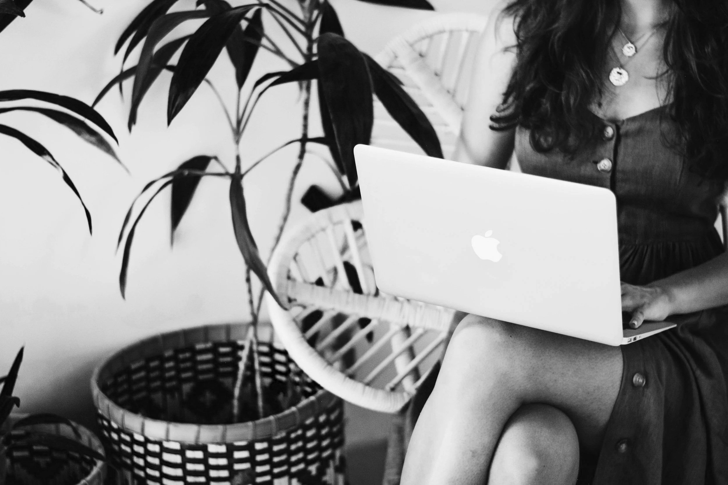 black and white photo of a well-dressed woman sitting and typing on an open laptop with a plant nearby